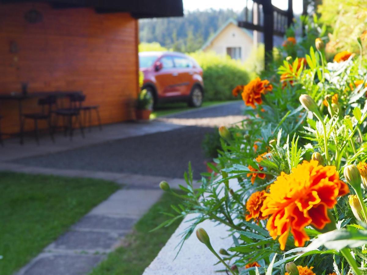 Chata Eliska Prikry Exterior foto